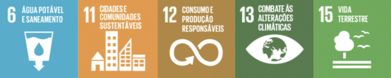 OBJETIVOS DE DESENVOLVIMENTO SUSTENTÁVEL