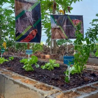 BAMIN promove “Horta nas Escolas” em comunidade Tupinambá de Olivença