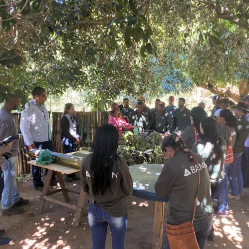 Projeto da BAMIN capacita produtores rurais para agricultura sustentável como fonte de renda em Caetité e Pindaí