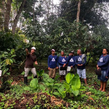 Produtores do Assentamento Frei Vantuy recebem capacitação sobre manejo sustentável do cacau