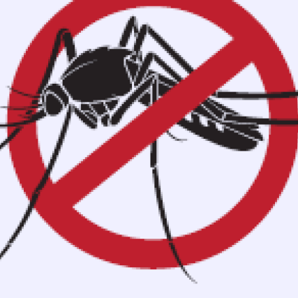 Atenção com a Dengue!