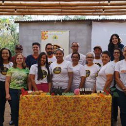 BAMIN conclui etapa do Projeto Transformar em Licínio de Almeida com curso de meliponicultura