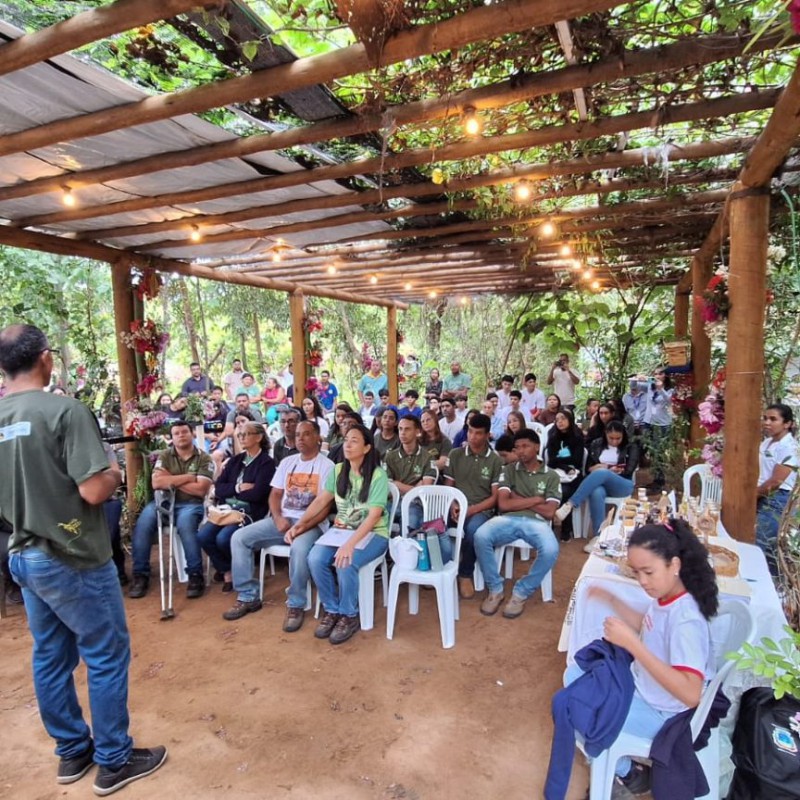 Projetos apoiados pela BAMIN promovem ações ambientais durante a Semana do Meio Ambiente na região da Mina Pedra de Ferro