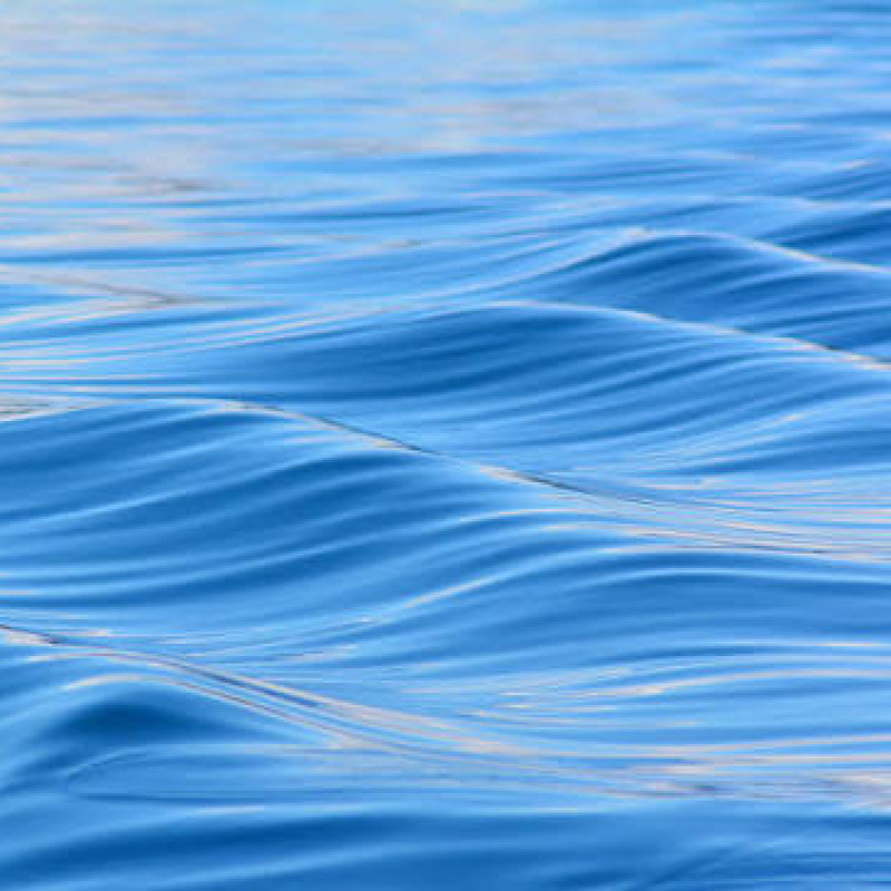 World Water Day warns of the importance of this natural resource