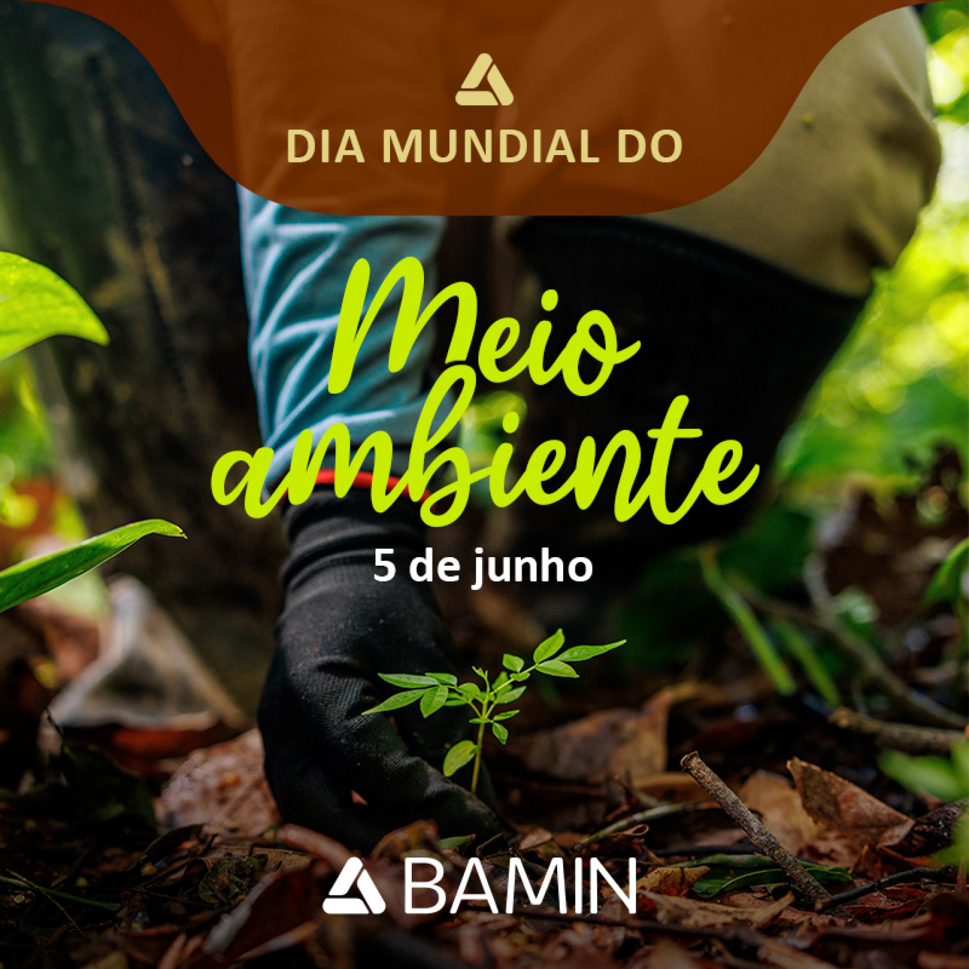 Dia Mundial do Meio Ambiente
