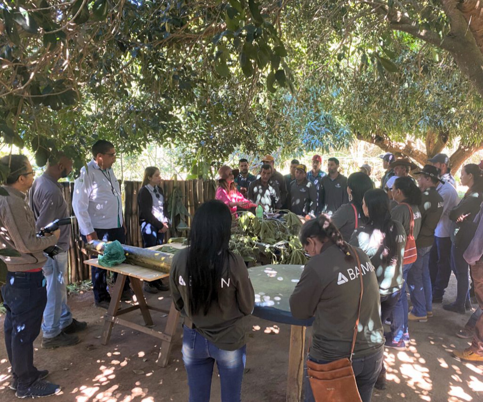 Projeto da BAMIN capacita produtores rurais para agricultura sustentável como fonte de renda em Caetité e Pindaí