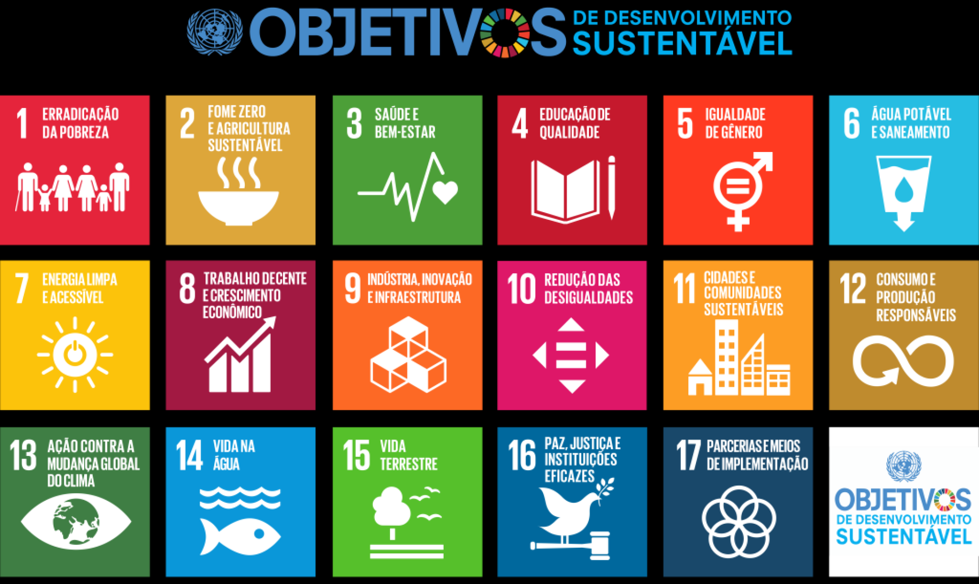 Pacto Global da ONU: BAMIN completa um ano de transformações