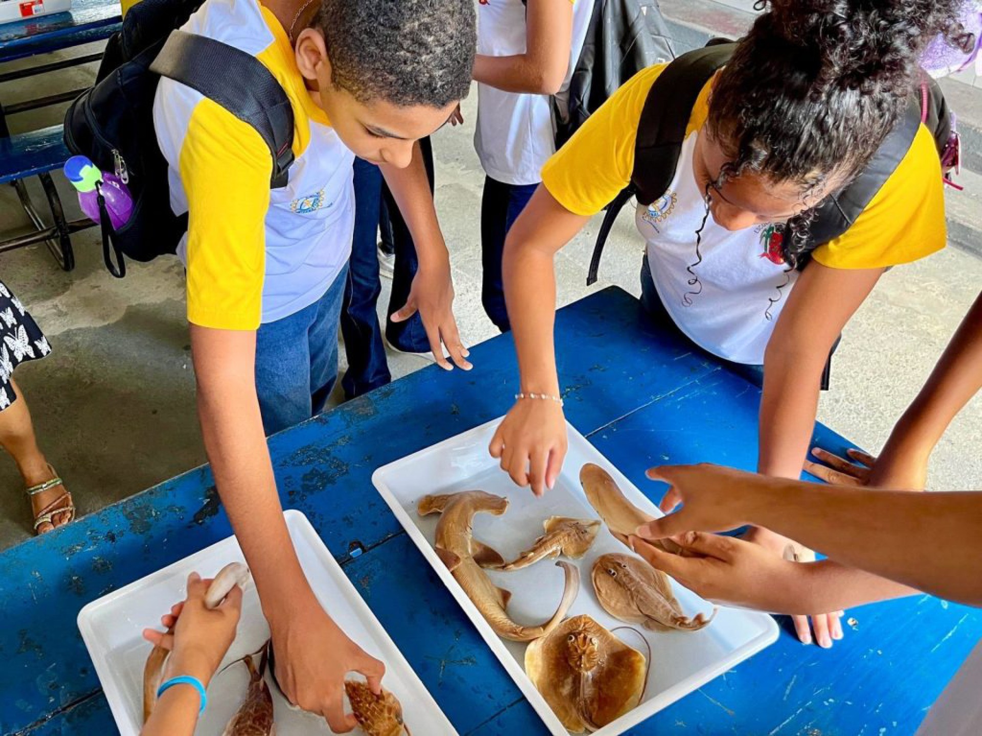 Mais uma escola é beneficiada com o projeto Cultura Oceânica da BAMIN