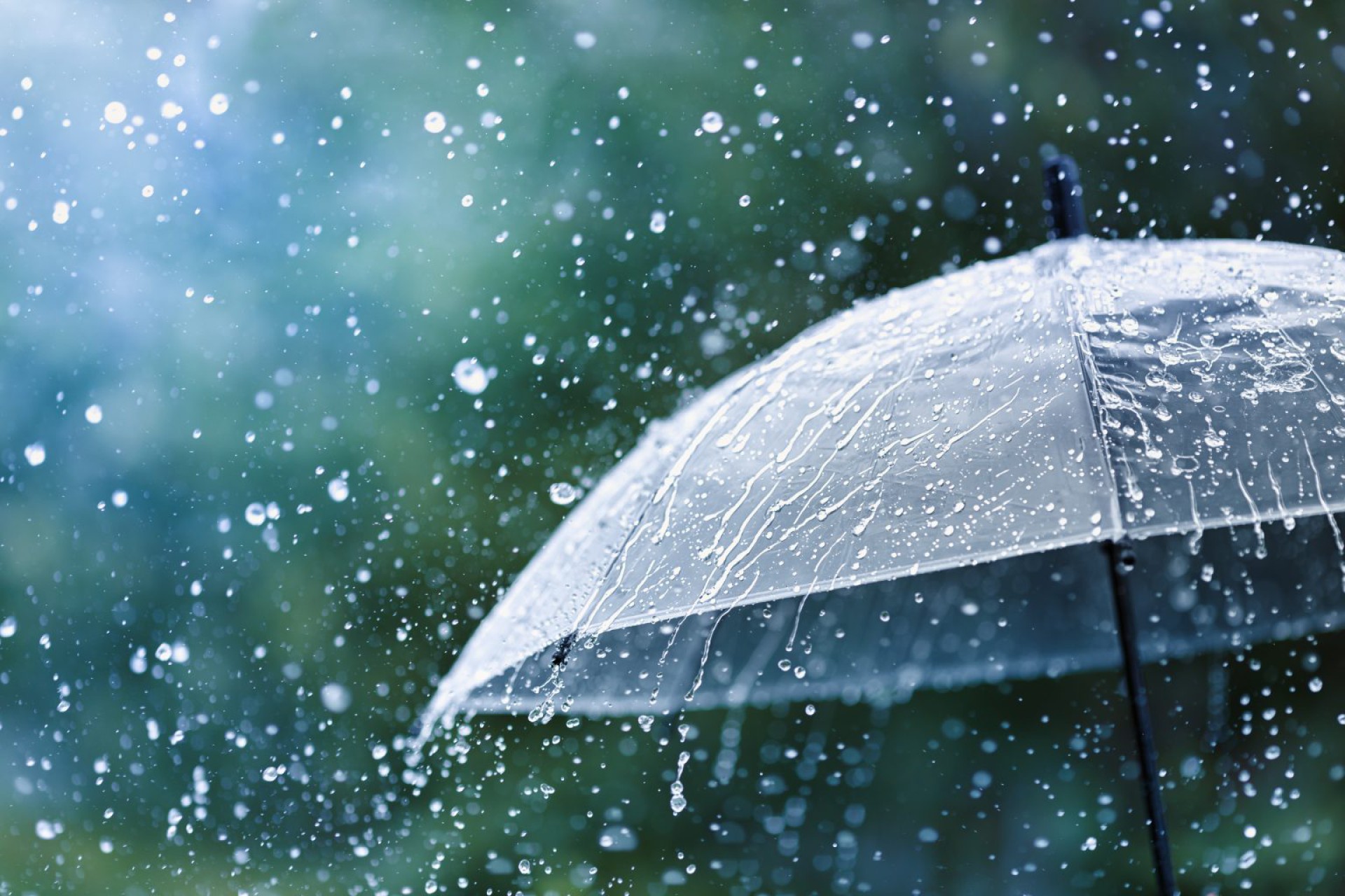Chuva: confira dicas para se proteger de enchentes e deslizamentos