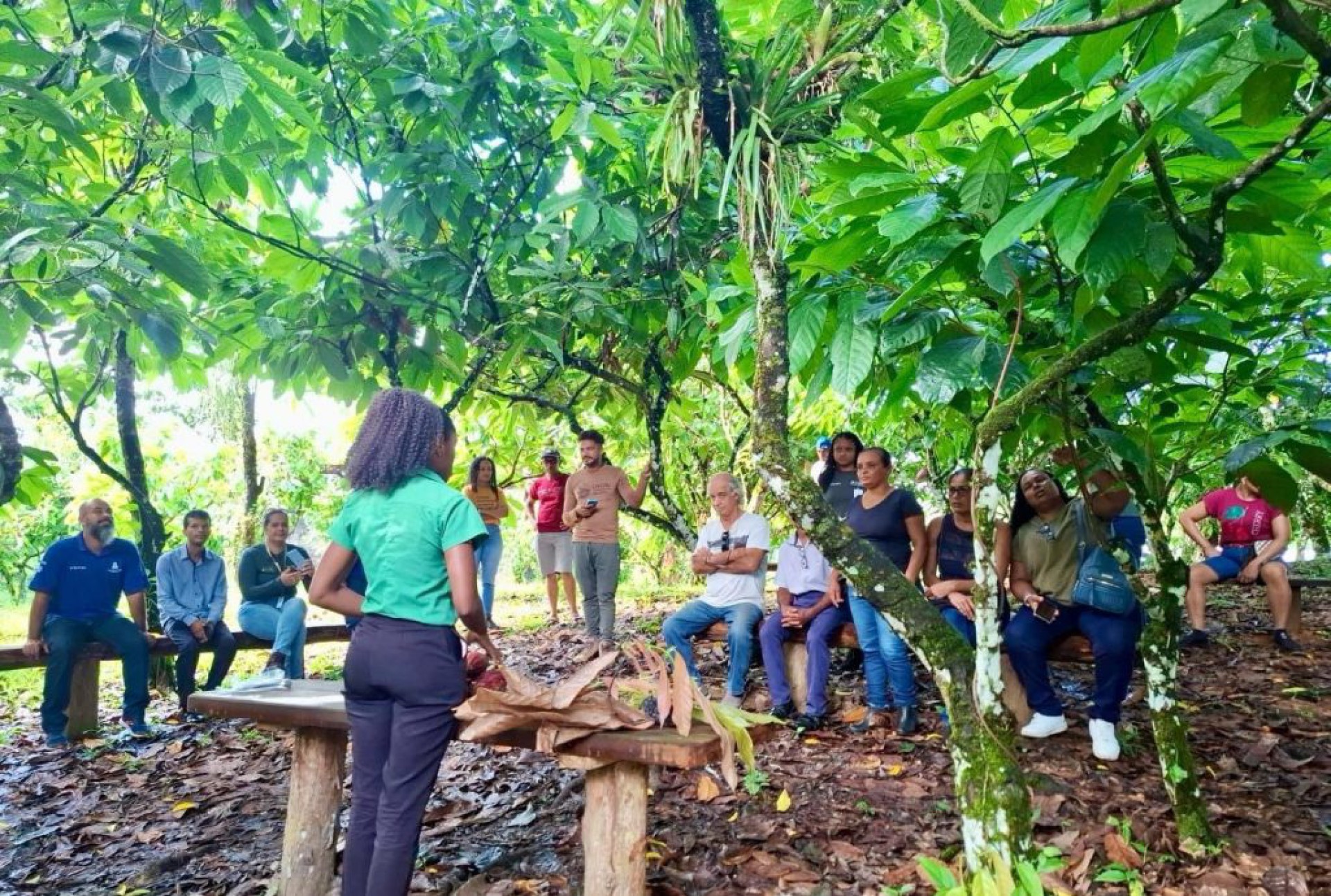 BAMIN leva empreendedores e produtores rurais de Ilhéus para conhecer fábrica da Mendoá Chocolates, na Fazenda Riachuelo
