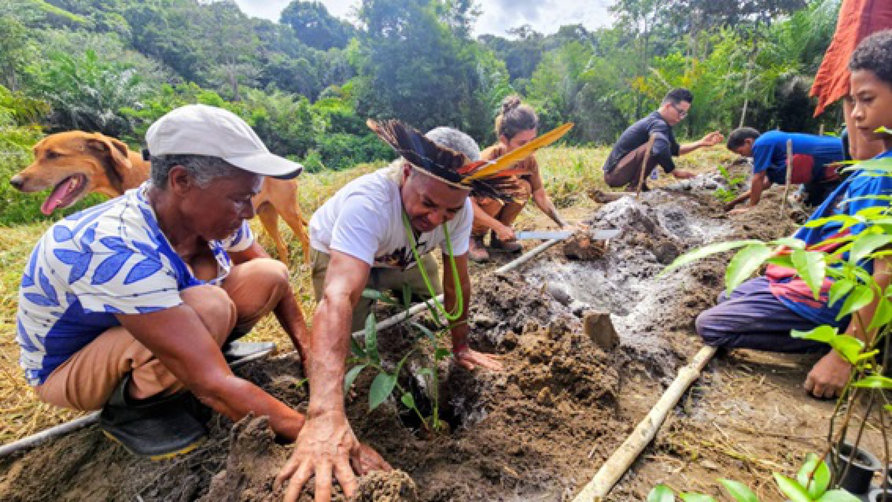 Saberes ancestrais e sustentabilidade marcam implantação de sistema agroflorestal em aldeia Tupinambá de Olivença