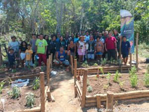 Intercâmbio de Saberes sobre Ervas Medicinais valoriza conhecimento ancestral na Aldeia Abaeté