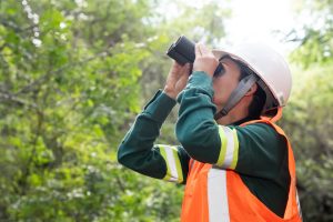 BAMIN inicia nova campanha de monitoramento de fauna na Mina Pedra de Ferro